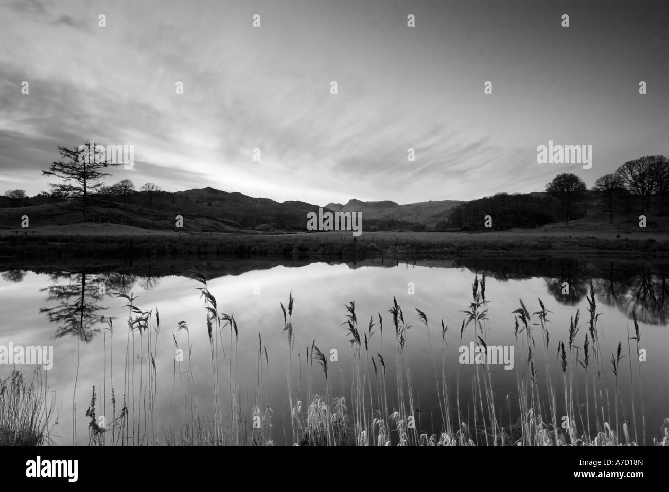 Ance e riflessioni sulla Elterwater di notte Foto Stock