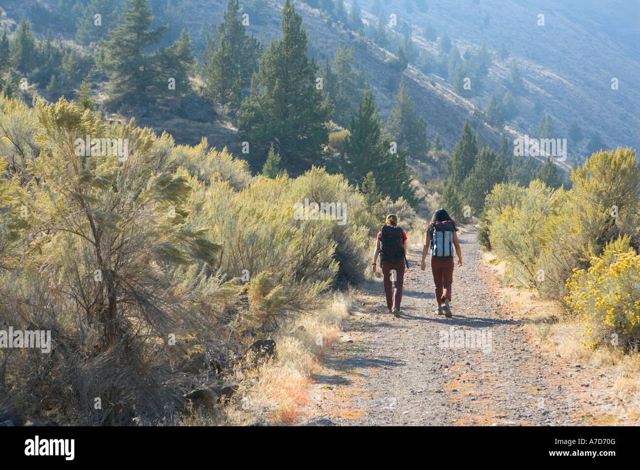 Due donne escursionismo su strada sterrata Sentiero Deschutes canyon di Oregon USA Foto Stock