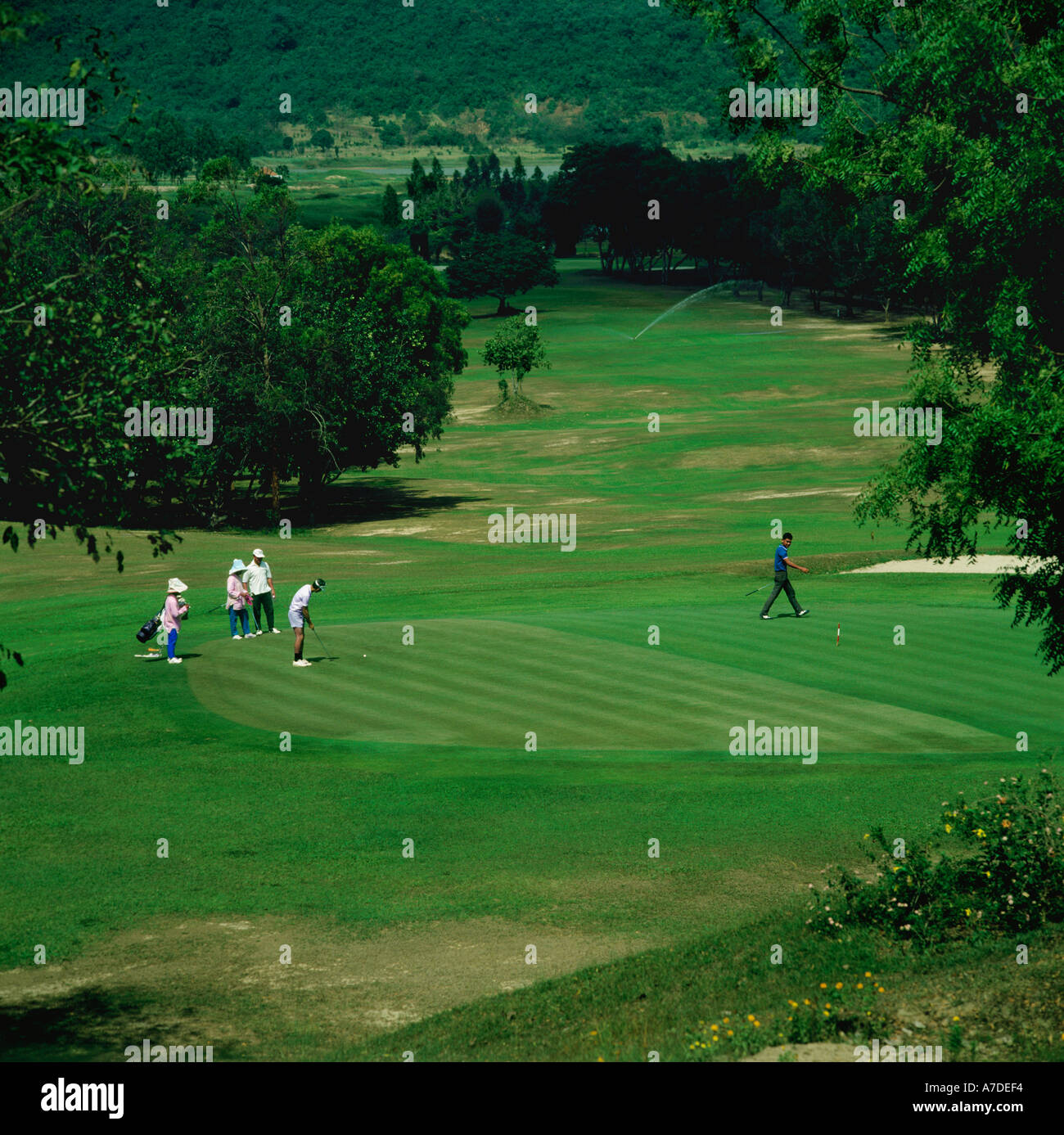 Golf a giocare sul verde con i giocatori e i caddy a Plutaluang Royal Thai Navy Campo da Golf, Pattaya, Thailandia Foto Stock