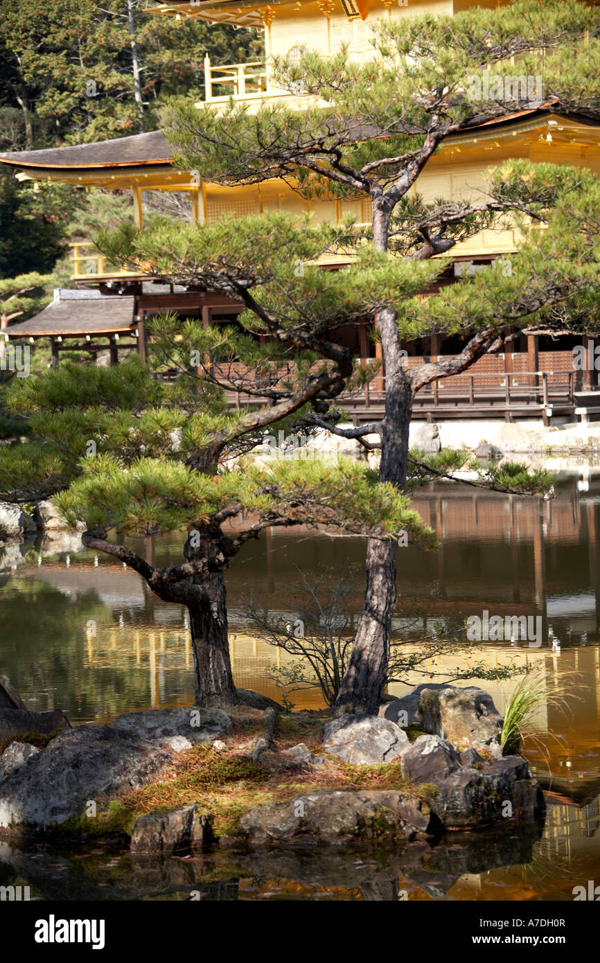 Il padiglione dorato di Kinkakuji o Rokuon ji con pino riflettendo nel lago città di Kyoto in Giappone Asia tradizione storica Foto Stock