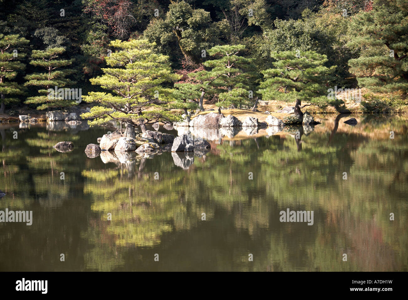Alberi di pino riflettendo nel lago di Kinkakuji o Rokuon ji in autunno città di Kyoto in Giappone Asia Foto Stock