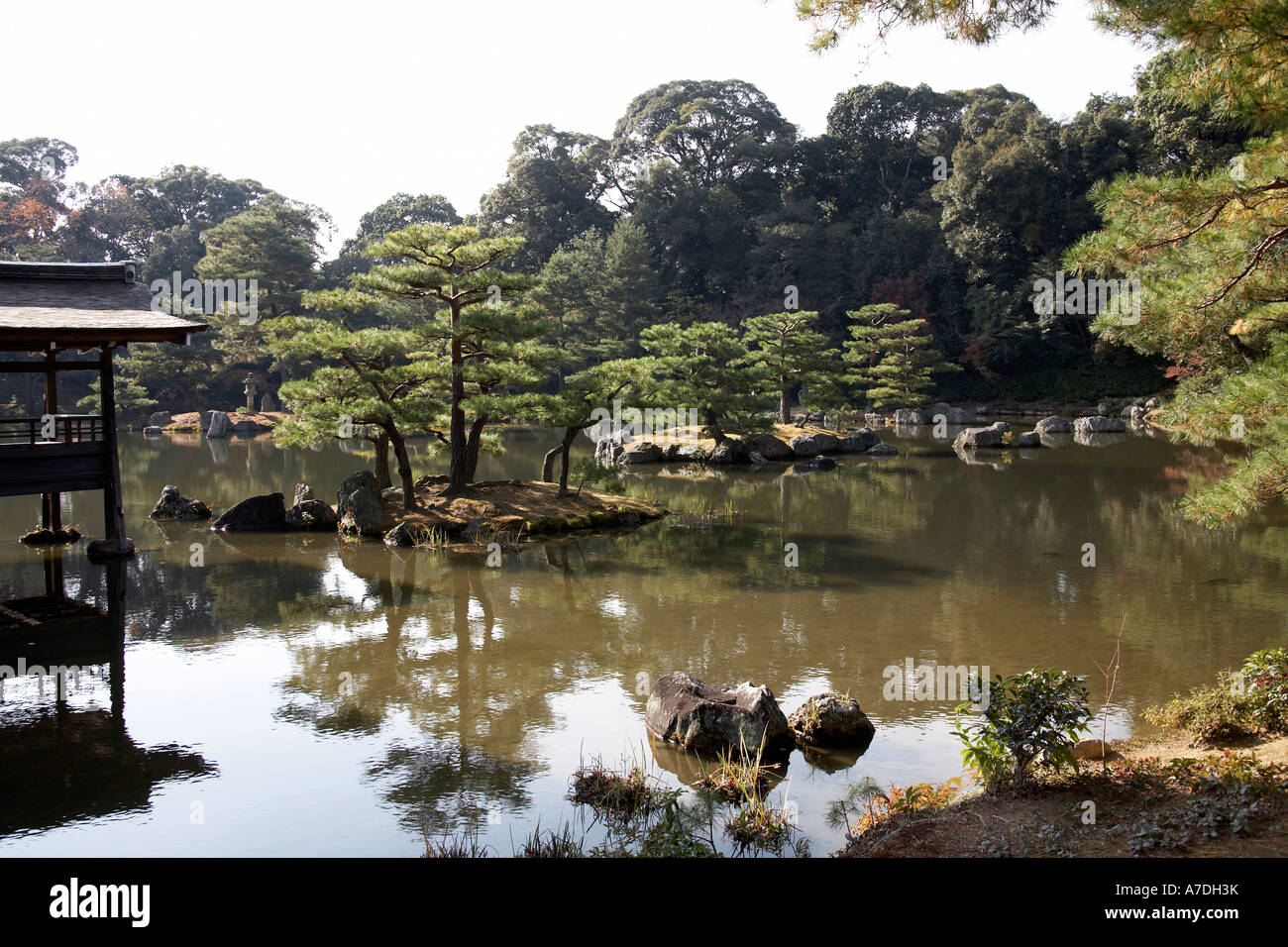Autunno acero e pino lascia riflettente nel lago di Kinkakuji o Rokuon ji città di Kyoto in Giappone Asia Foto Stock
