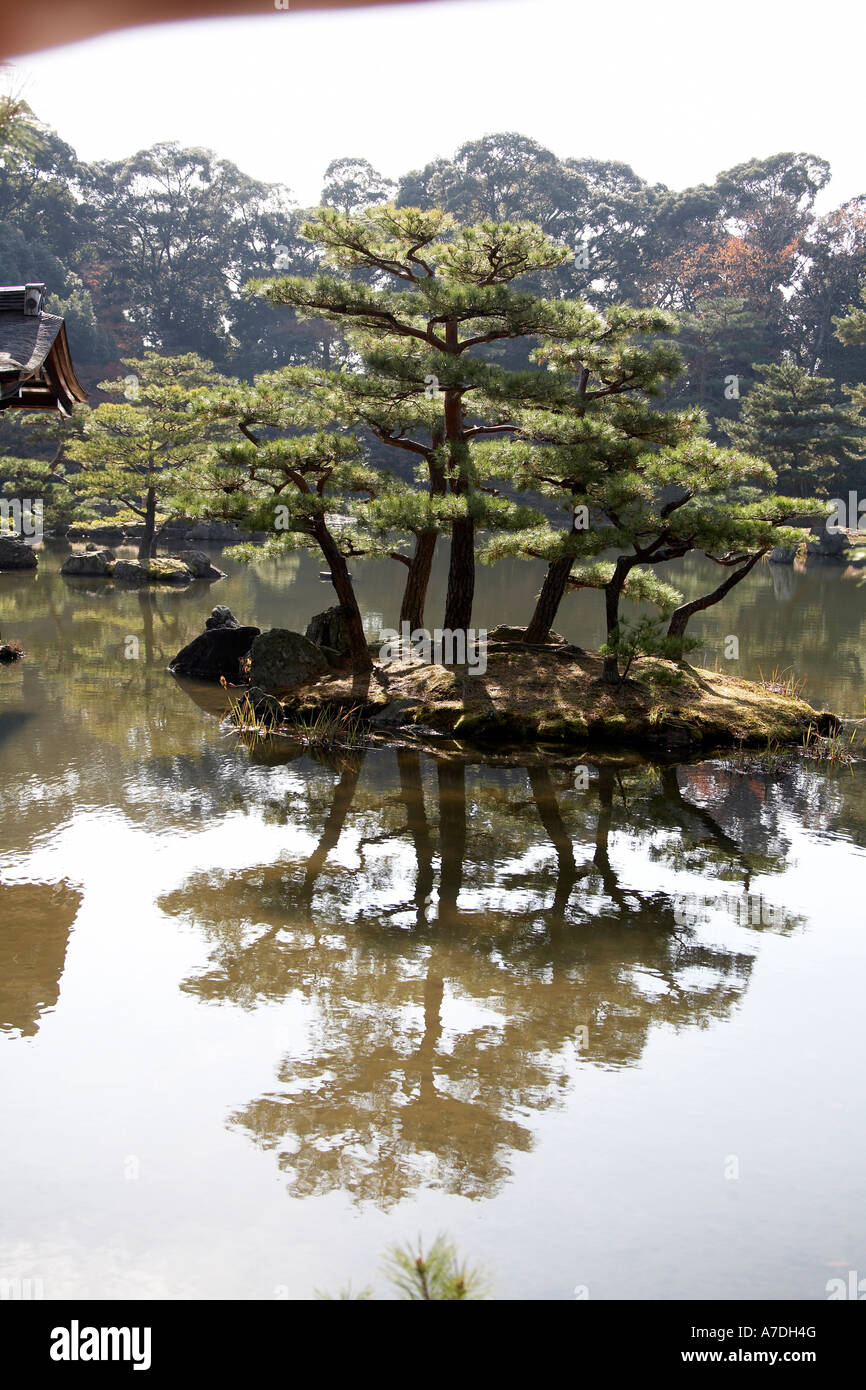 Autunno acero e pino lascia riflettente nel lago di Kinkakuji o Rokuon ji città di Kyoto in Giappone Asia Foto Stock