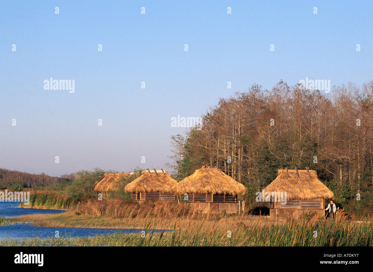 Florida Seminole Indian chickeesin le Everglades della Florida Foto Stock