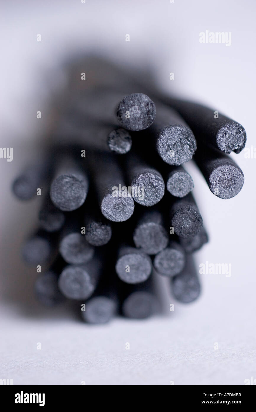 Salice nero carbone come utilizzato da artisti per abbozzare Foto Stock