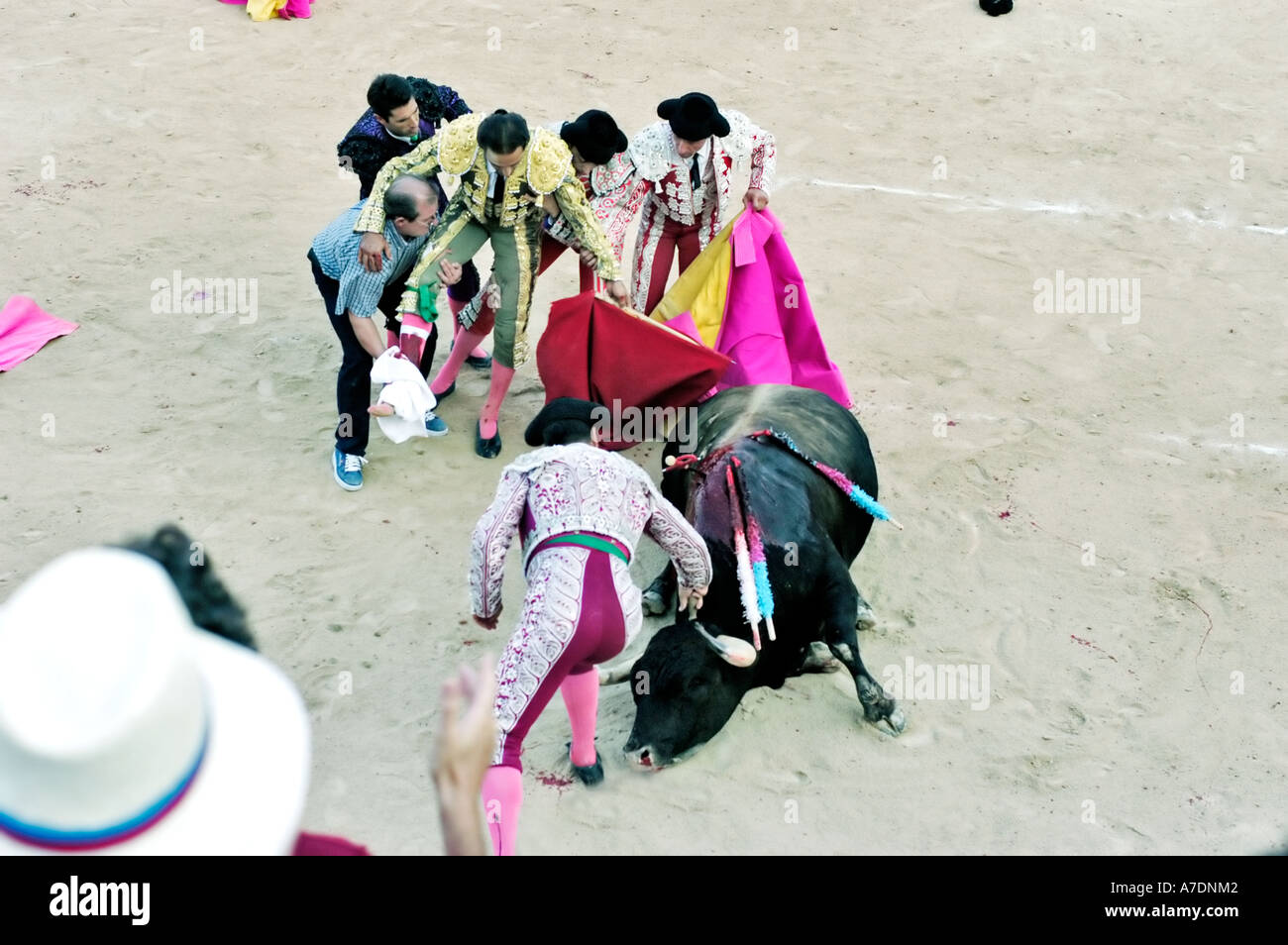 Montpelier France, CORRIDA NELL'ARENA MANUEL B EL CORDOBES, A Palavas les Flots, ferì Matador e uccise Bull Foto Stock