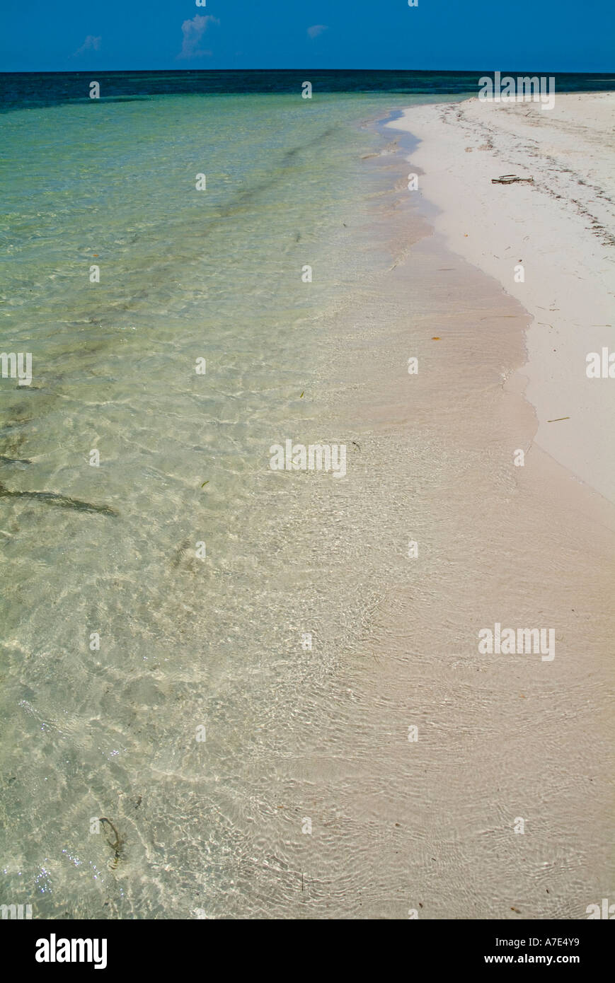 Acqua trasparente e la spiaggia di sabbia bianca a Cayo Jutias Cuba Foto Stock