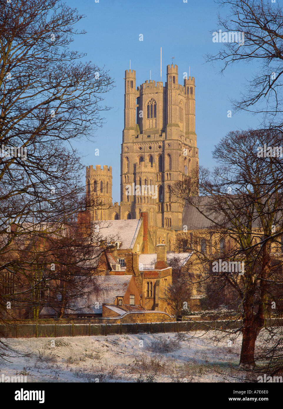 Cattedrale di Ely da sud in inverno Ely Cambridgeshire East Anglia England Regno Unito Foto Stock