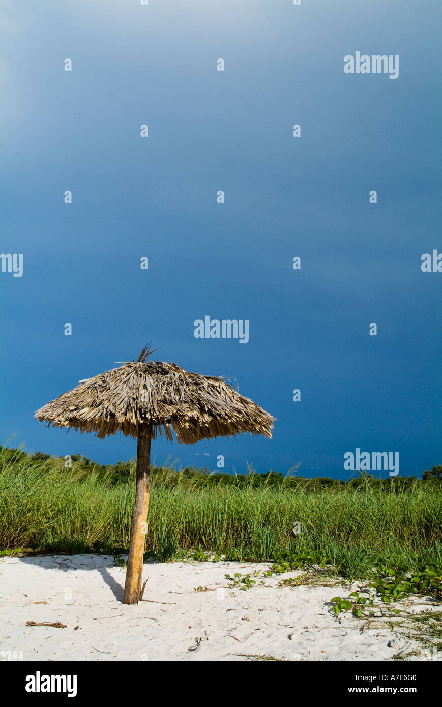 Ombrellone in legno su una spiaggia di sabbia bianca a Cayo Jutias Cuba Foto Stock