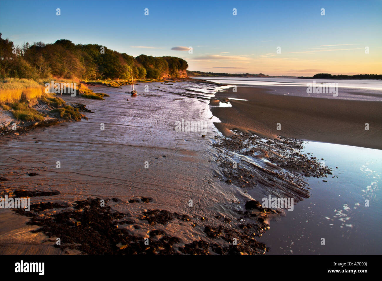 La bassa marea in Severn Estuary, Gloucestershire, Inghilterra Foto Stock