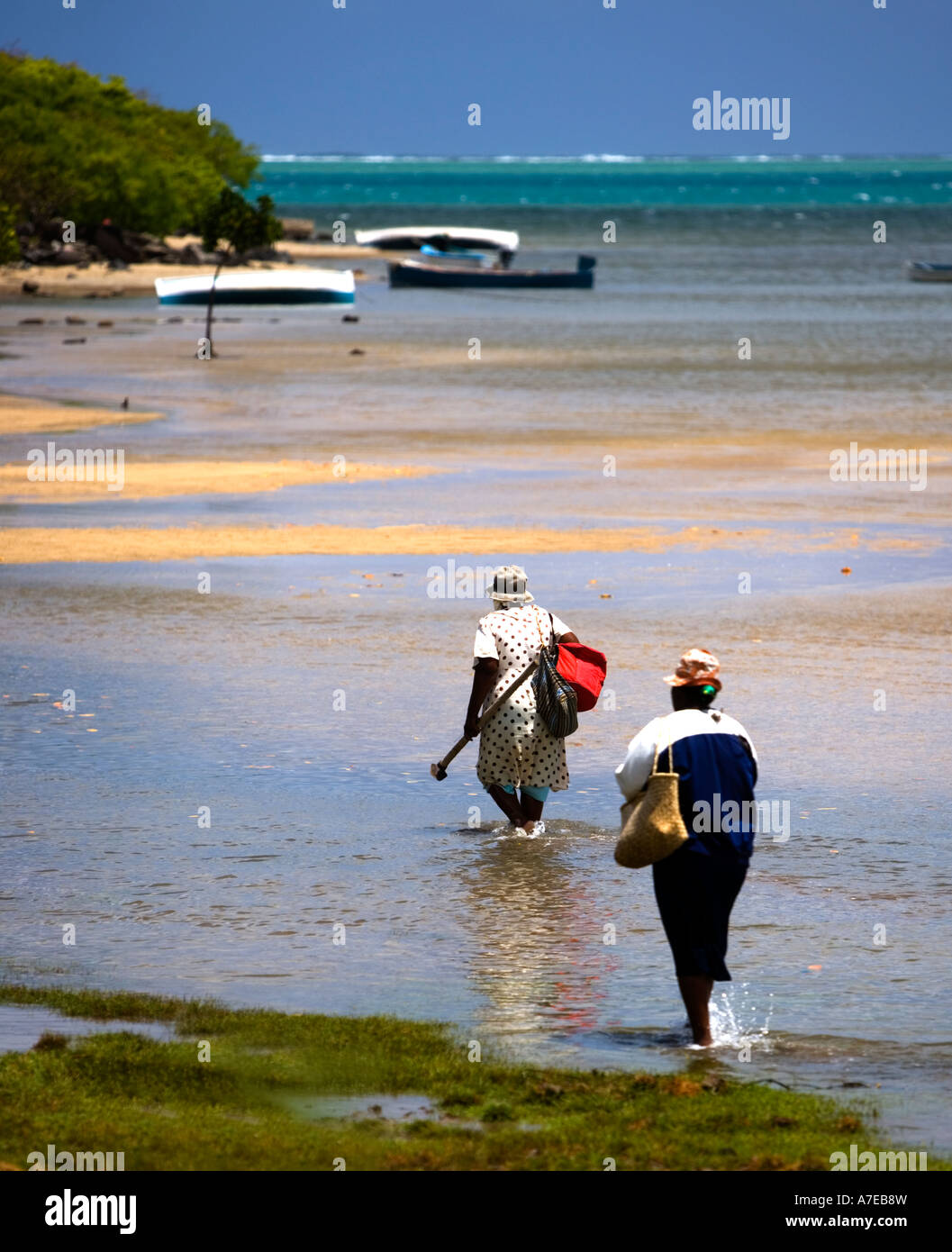 Un comune fisihing scena su "Rodrigues' Foto Stock