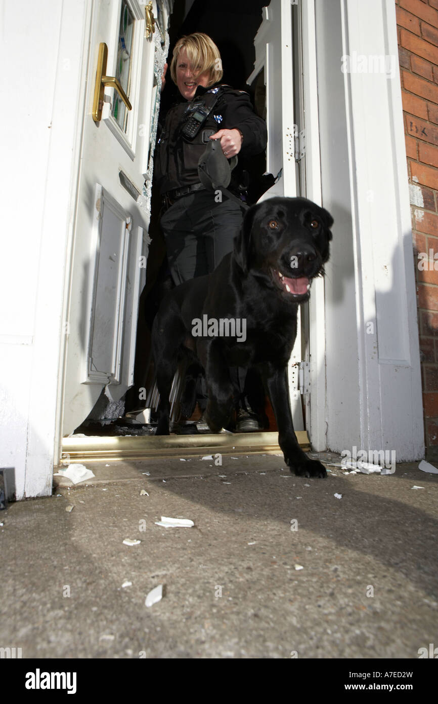 Funzionario di polizia e sniffer cane lasciare un housefollowing a dawn raid su sospetti droga i concessionari in Hull East Yorkshire Foto Stock