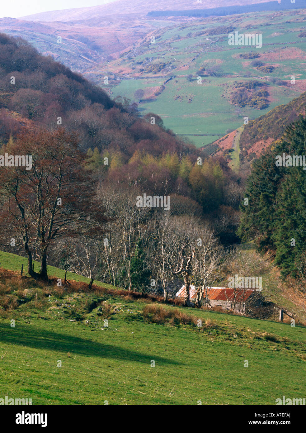 Verso Braich Ddu Happy Valley Snowdonia NW Wales UK Foto Stock