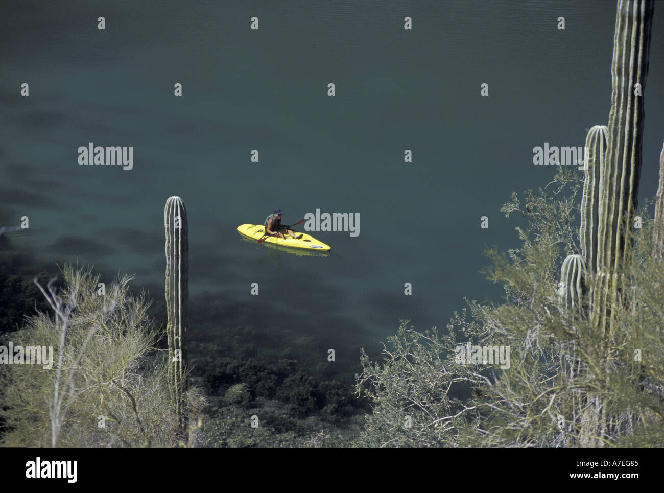 Nord America, Messico, Baja, Mare di Cortez. Sea kayaker su una tranquilla mattina Foto Stock