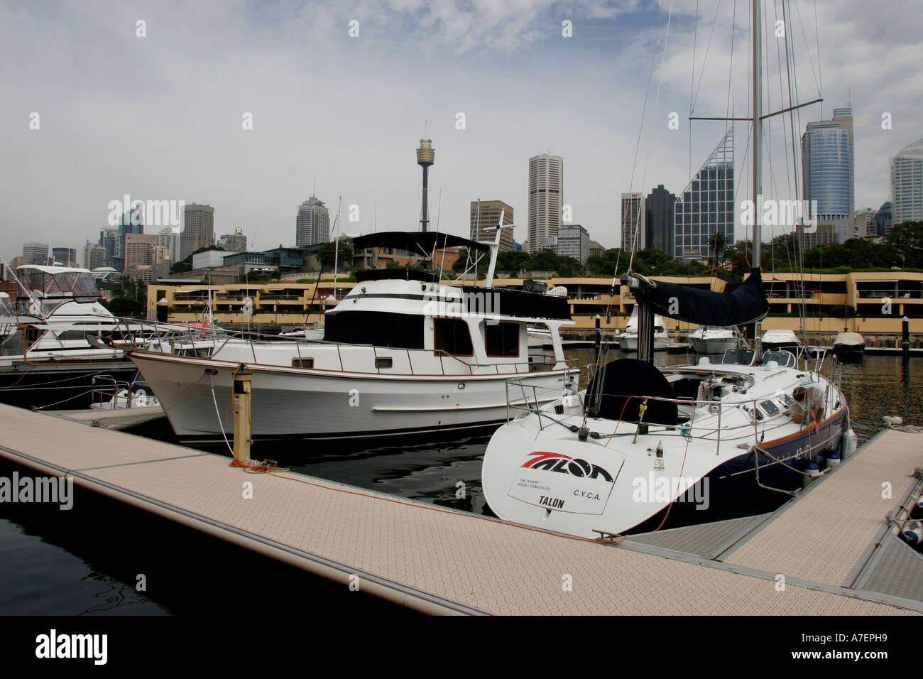 Barche di lusso a marina in Woolloomooloo Bay Sydney Harbour Foto Stock