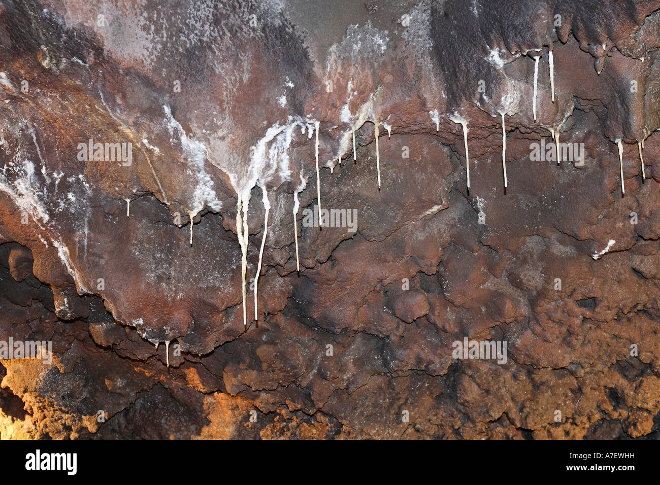 Grotta di lava , Sao Vicente, Madeira, Portogallo Foto Stock