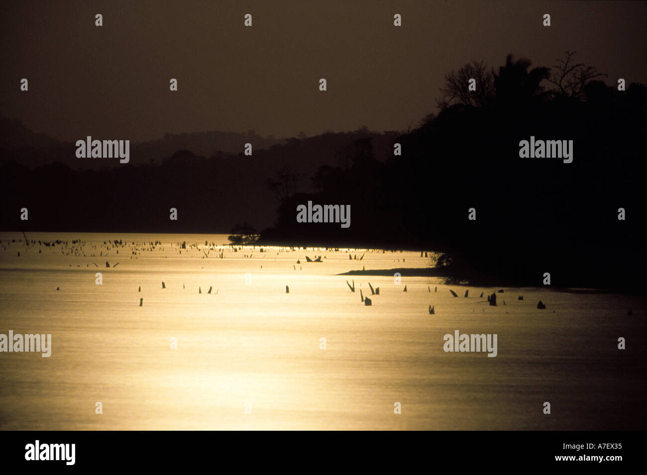 Panama, Borro Colorado Isola, Moon over Lago di Gatun Foto Stock