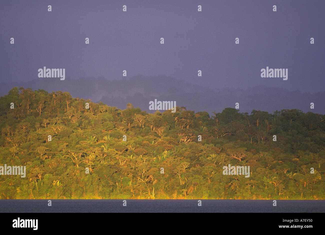 CA, centro di Panama, Soberania NP, Lago di Gatun Foto Stock