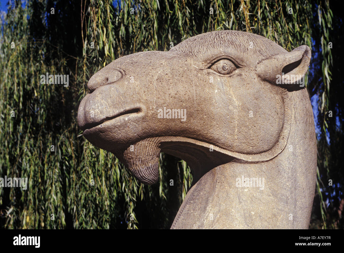 Stonesculpture ( Camel ), avenue di pietra scuptures (Shi Xian Shen Dao) presso le Tombe dei Ming, 50 km a nord di Pechino popoli Repub Foto Stock