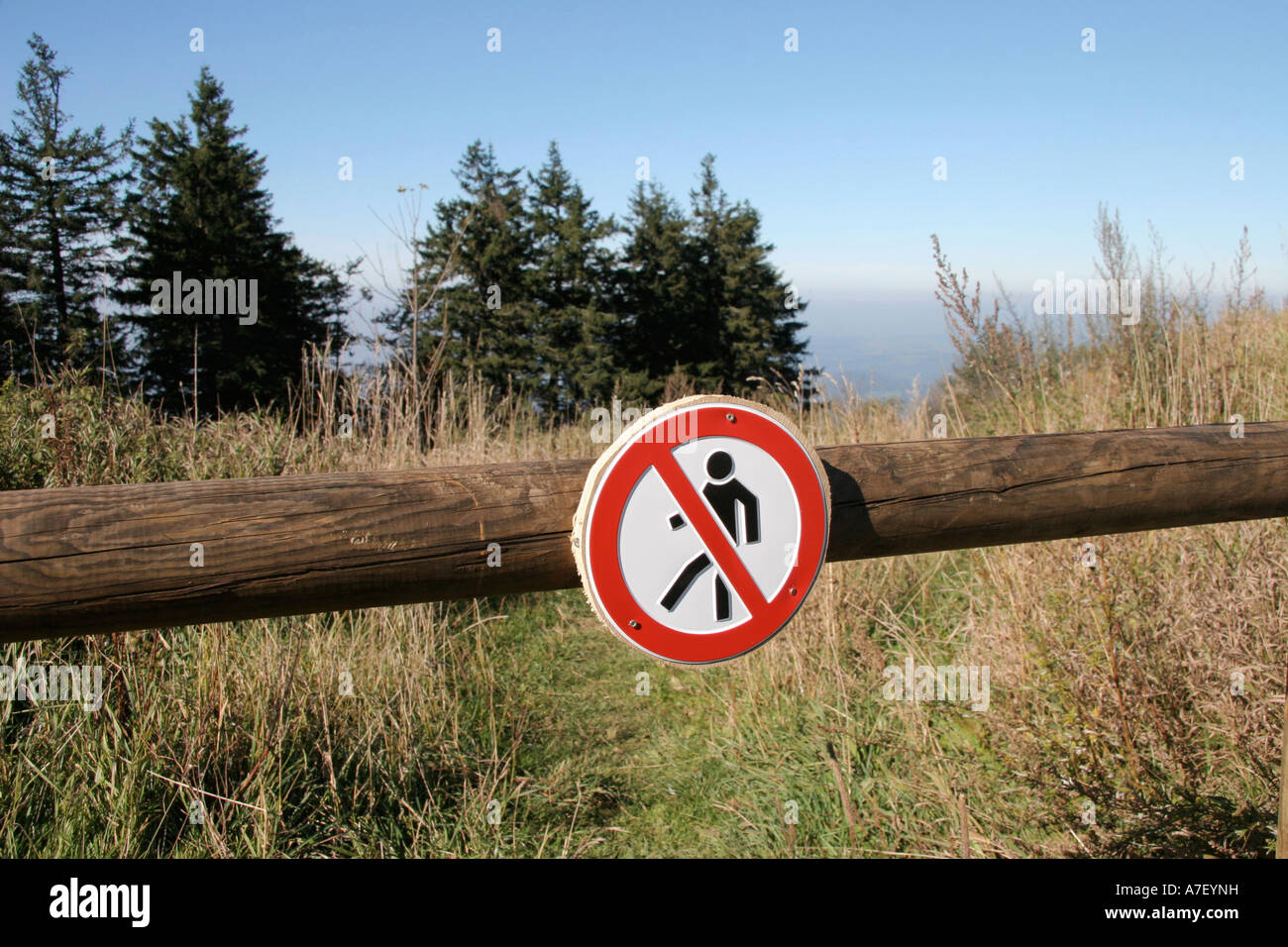 Natura area prenotazioni con nessun segno sconfinamenti, Kandel, foresta nera, Baden-Wuerttemberg, Germania Foto Stock