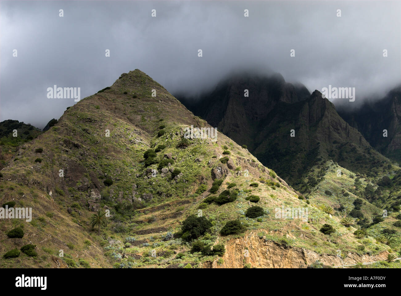 La nebbia sulle montagne a nord di La Gomera, isole Canarie, Spagna, Europa Foto Stock