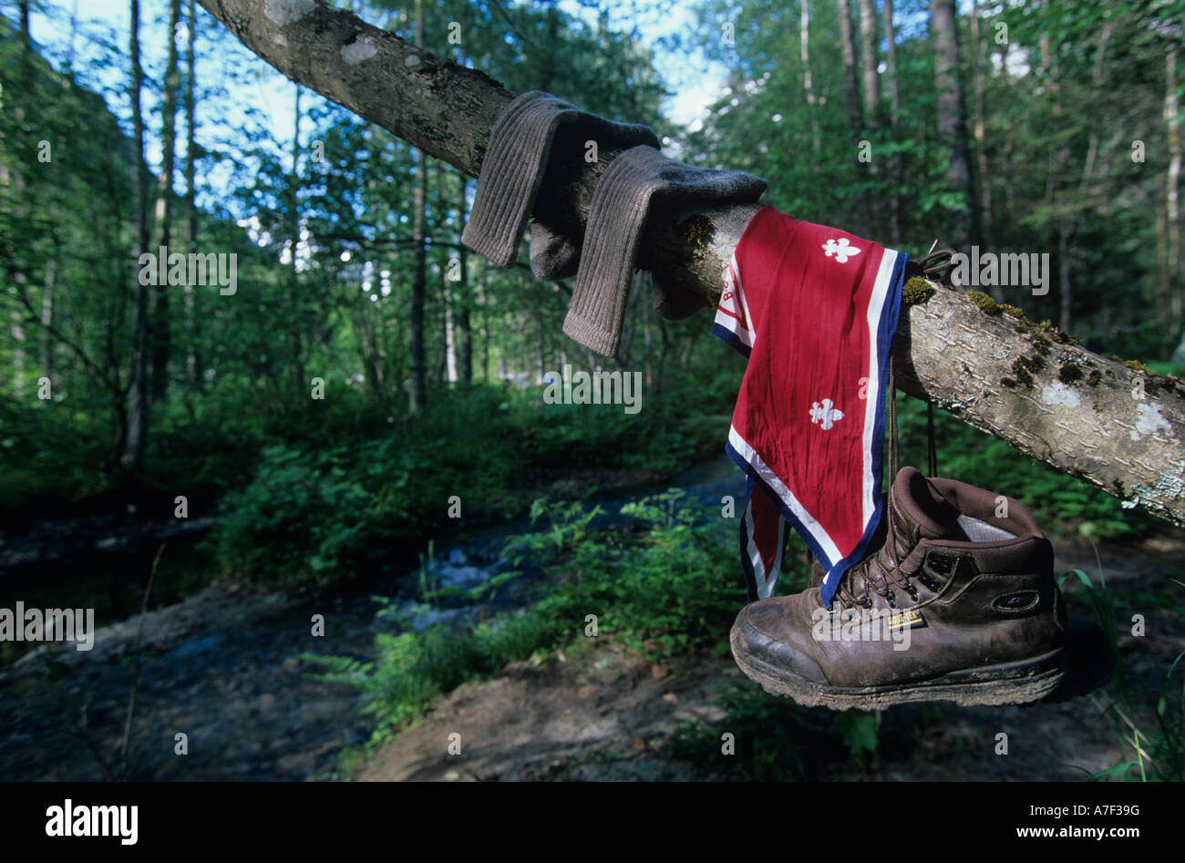 Stati Uniti d'America Alaska escursionista s stivali pendere dal lembo di albero lungo Chilkoot Trail a 33 miglio percorso che ripercorre 1898 Klondike Gold Rush Foto Stock