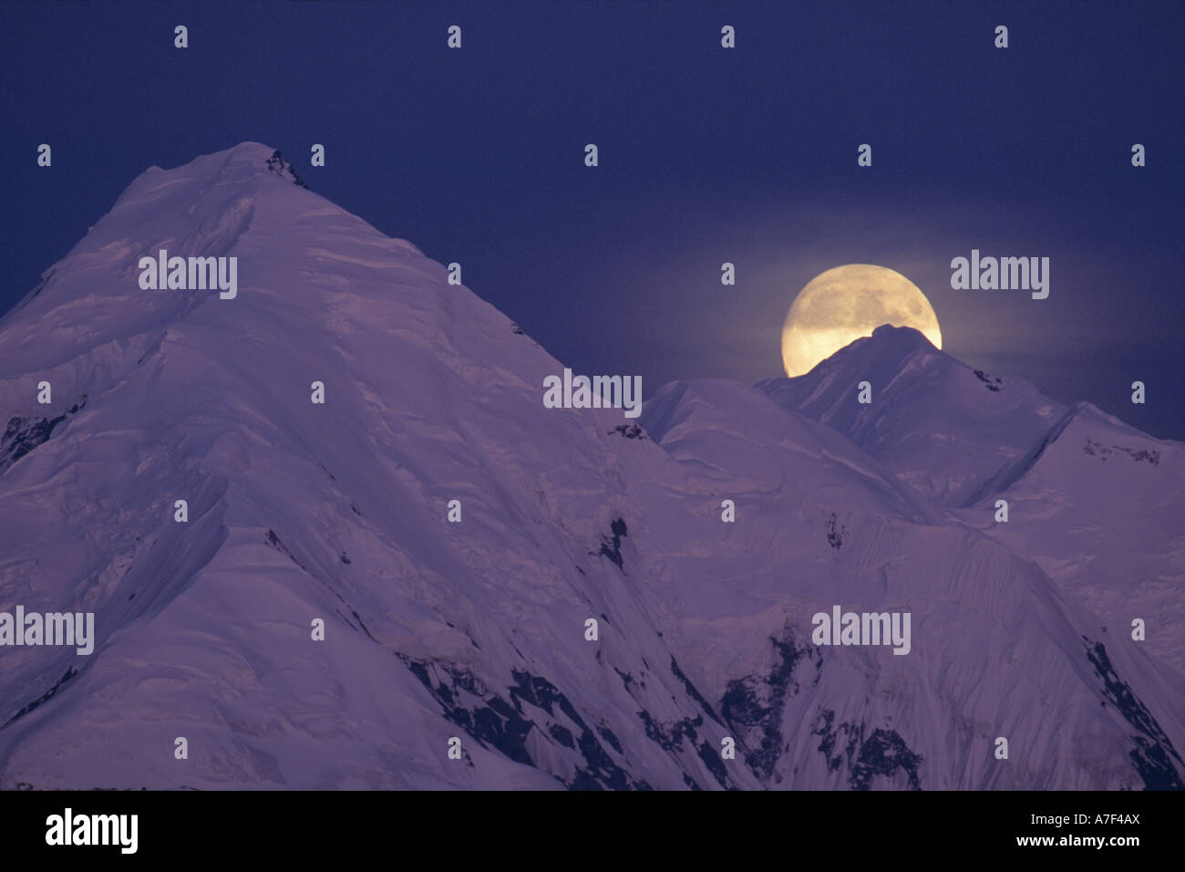 Stati Uniti d'America Alaska Denali National Park la luna piena sorge dietro al Monte Brooks 11940 visto dal lago di meraviglia Foto Stock