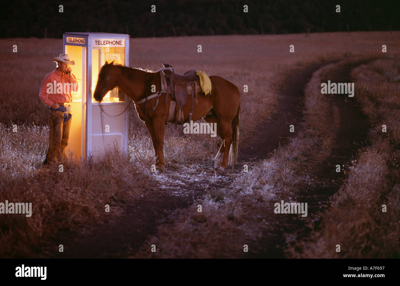 Cowboy effettua una chiamata telefonica in zona rurale remota Foto Stock