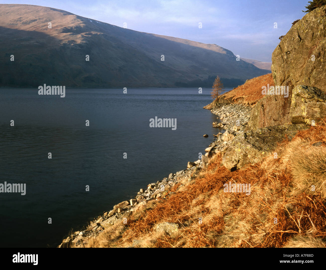 Mardale banche da parte Scafell Cumbria Foto Stock