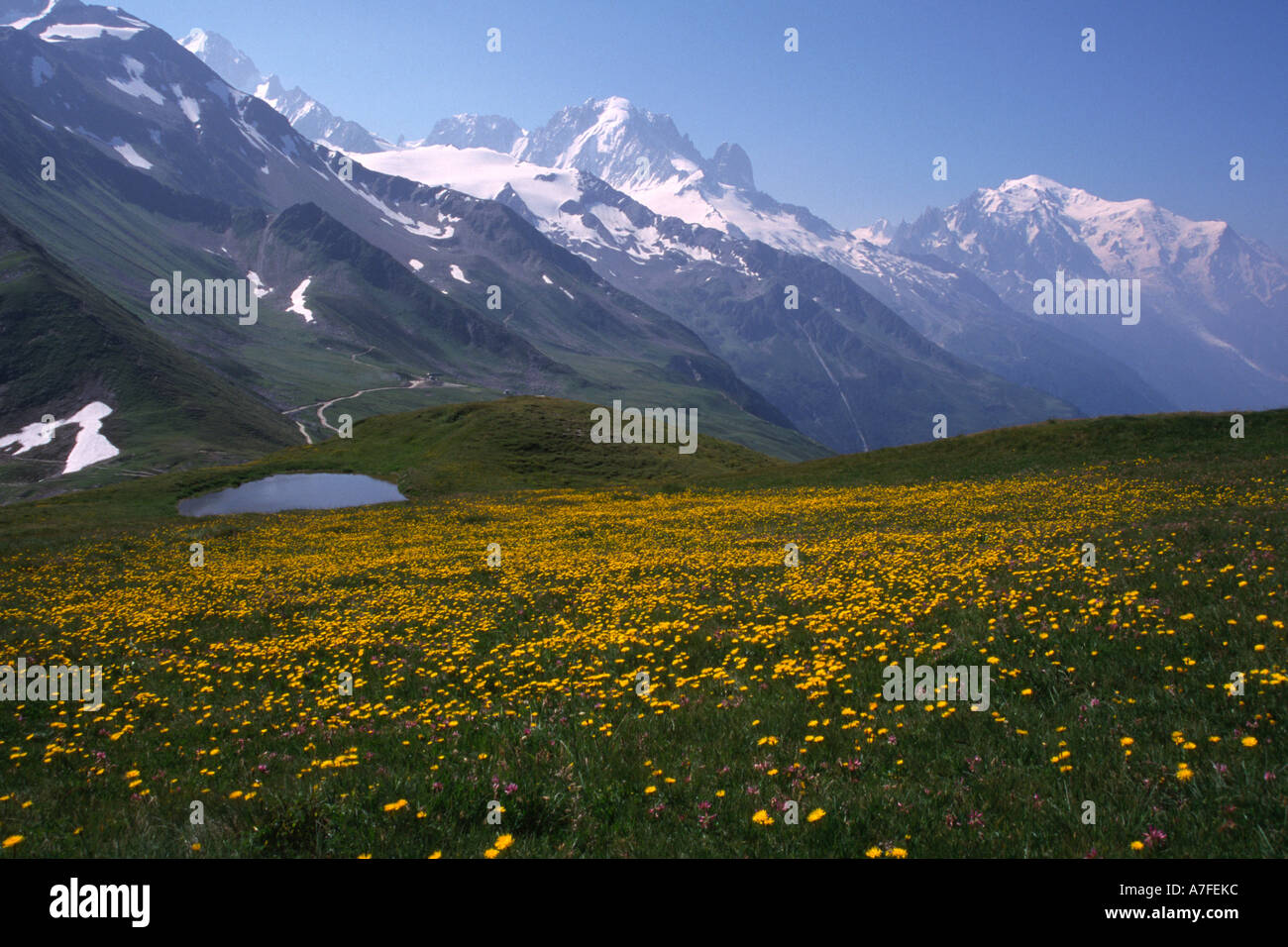 Massiccio del Monte Bianco e Aiguille verte da Tête de Balme sulle Alpi francesi Foto Stock