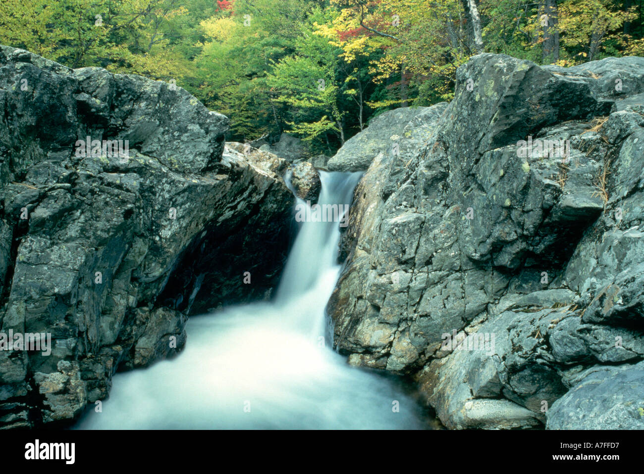 Ellis River White Mountain National Forest NH USA Foto Stock