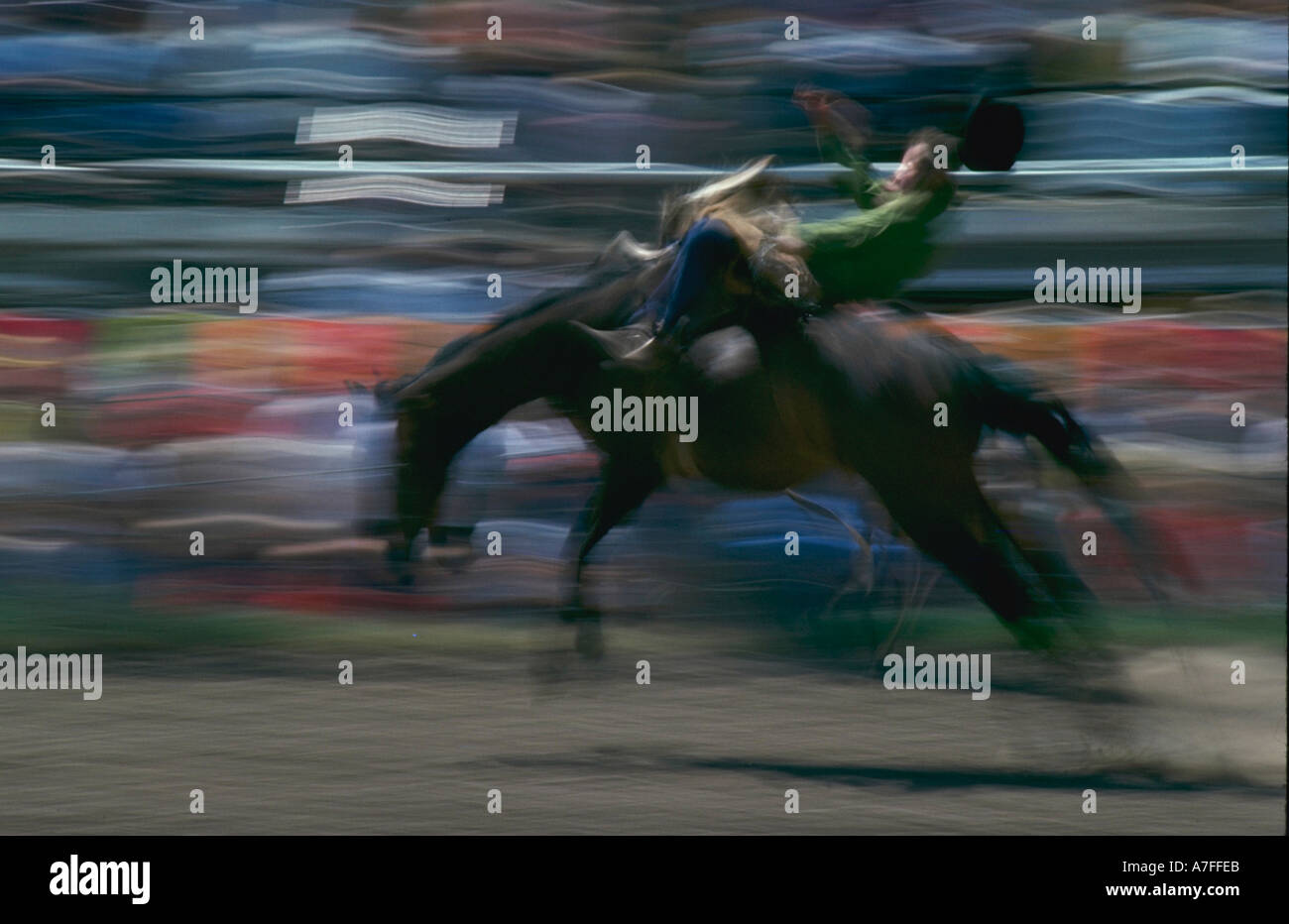 Rodeo cavaliere a strappi bronco a Miles City strappi cavallo vendita rodeo in miglia città montana Foto Stock