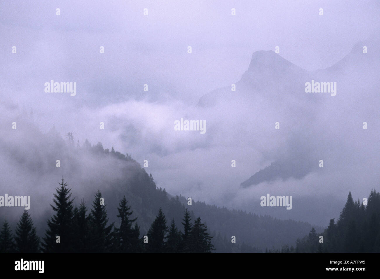 Vista nebbiosa della Chaîne des Aravis durante la pioggia, le Alpi francesi Foto Stock