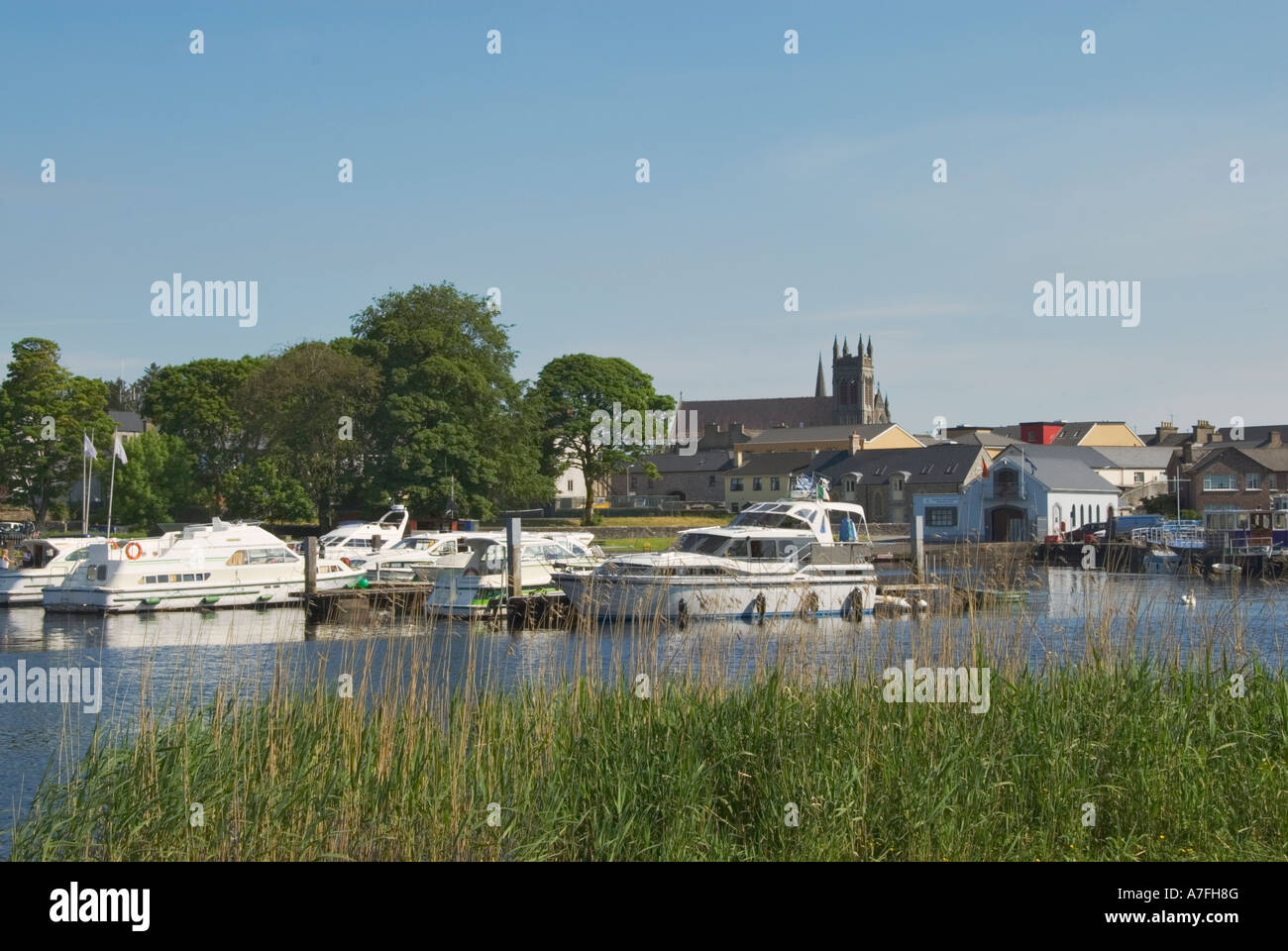 L'Irlanda nella Contea di Leitrim Carrick sulla marina di Shannon Foto Stock