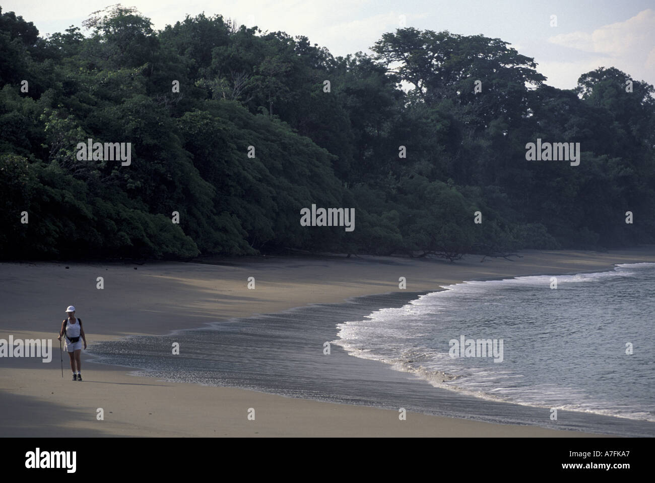 America centrale, Costa Rica, Manuel Antonio National Park. Playa Espadilla Foto Stock