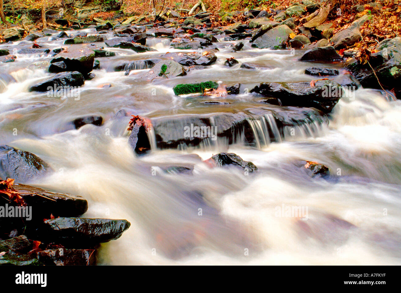 Il Cedar Creek scorre rapidamente attraverso la Petit Jean State Park vicino Morrilton, Arkansas Foto Stock
