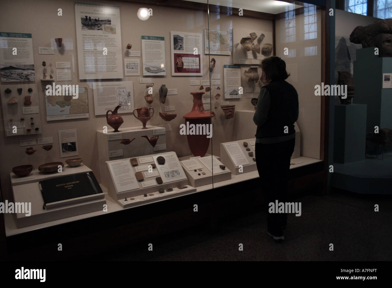 Visitatore guardando casi presso l'Istituto Orientale Chicago Illinois Foto Stock