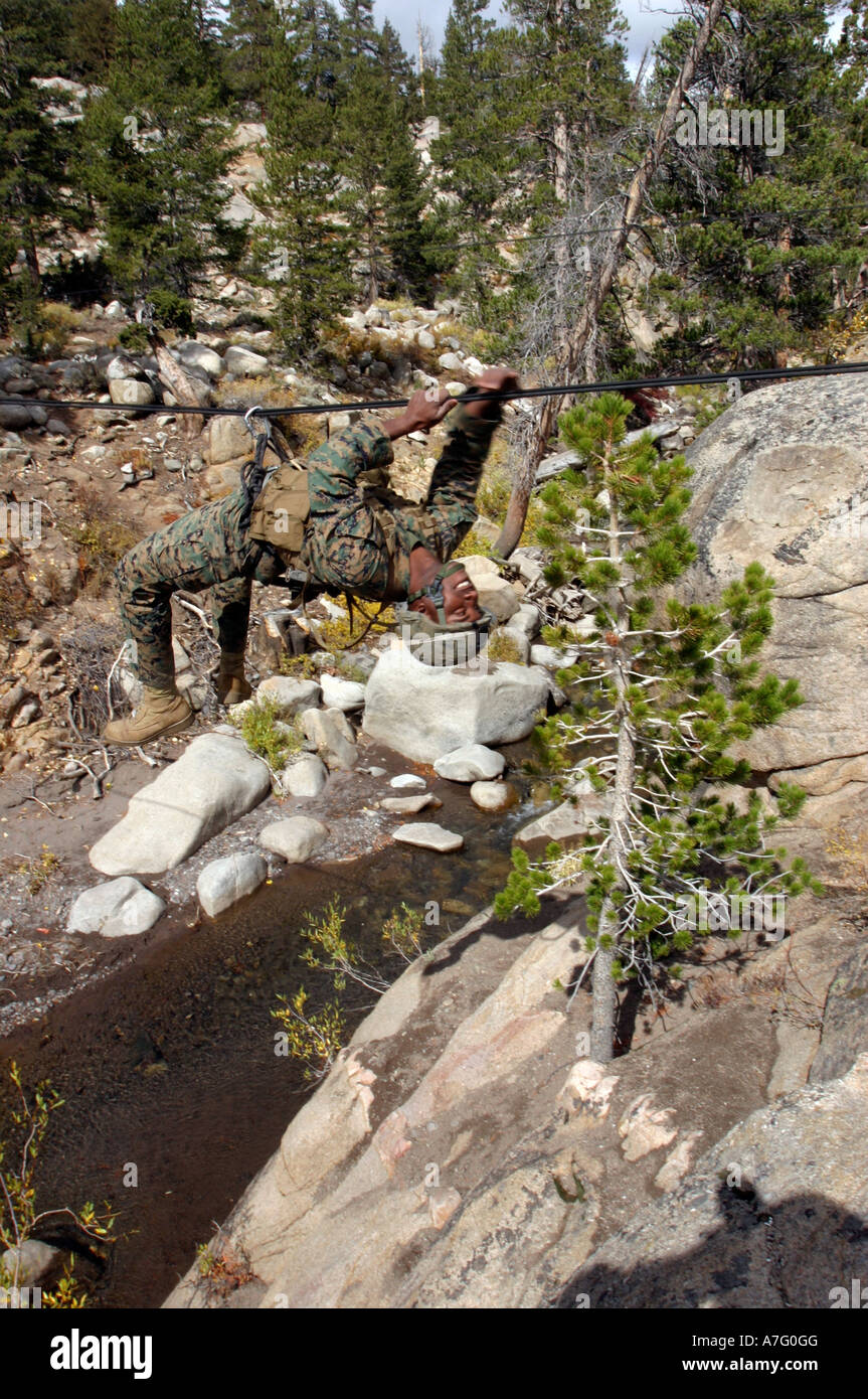 Leader di un team lavora il suo modo attraverso un ponte di corde che coprono una piccola gola a Montagna Warfare Training Center, Bridgeport. Foto Stock