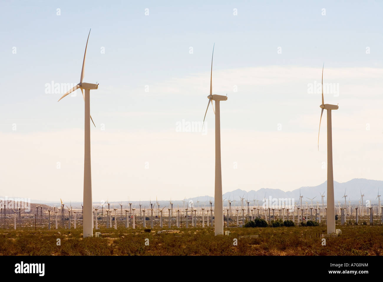 Più di 4000 operano i generatori in San Gorgonio Pass turbina eolica agriturismo vicino a Palm Springs California Foto Stock