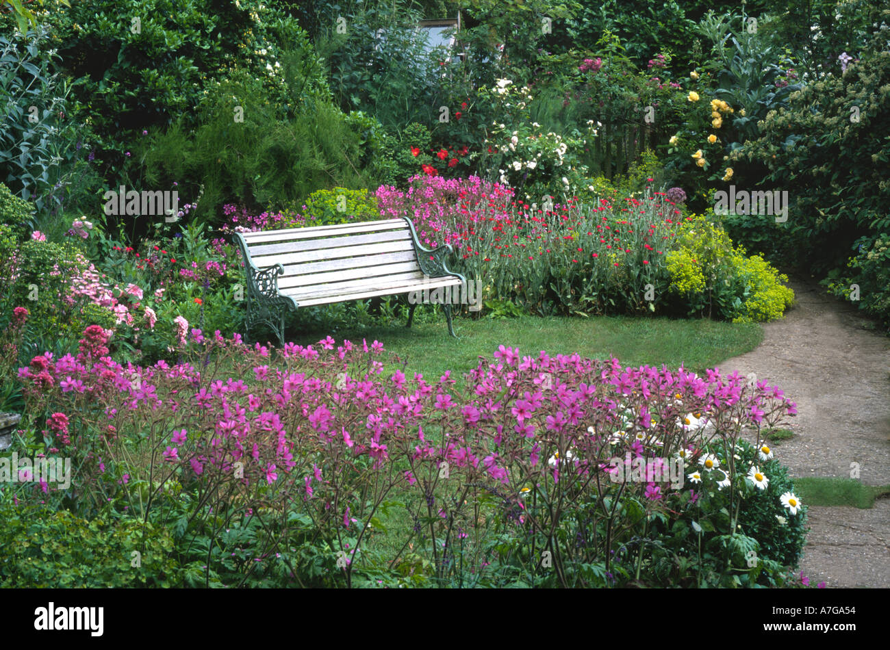 Cottage piccolo giardino Norfolk Inghilterra prato banco geranio rosa fiori viola piccolo giardino progettazione giardini panche posti a sedere Foto Stock