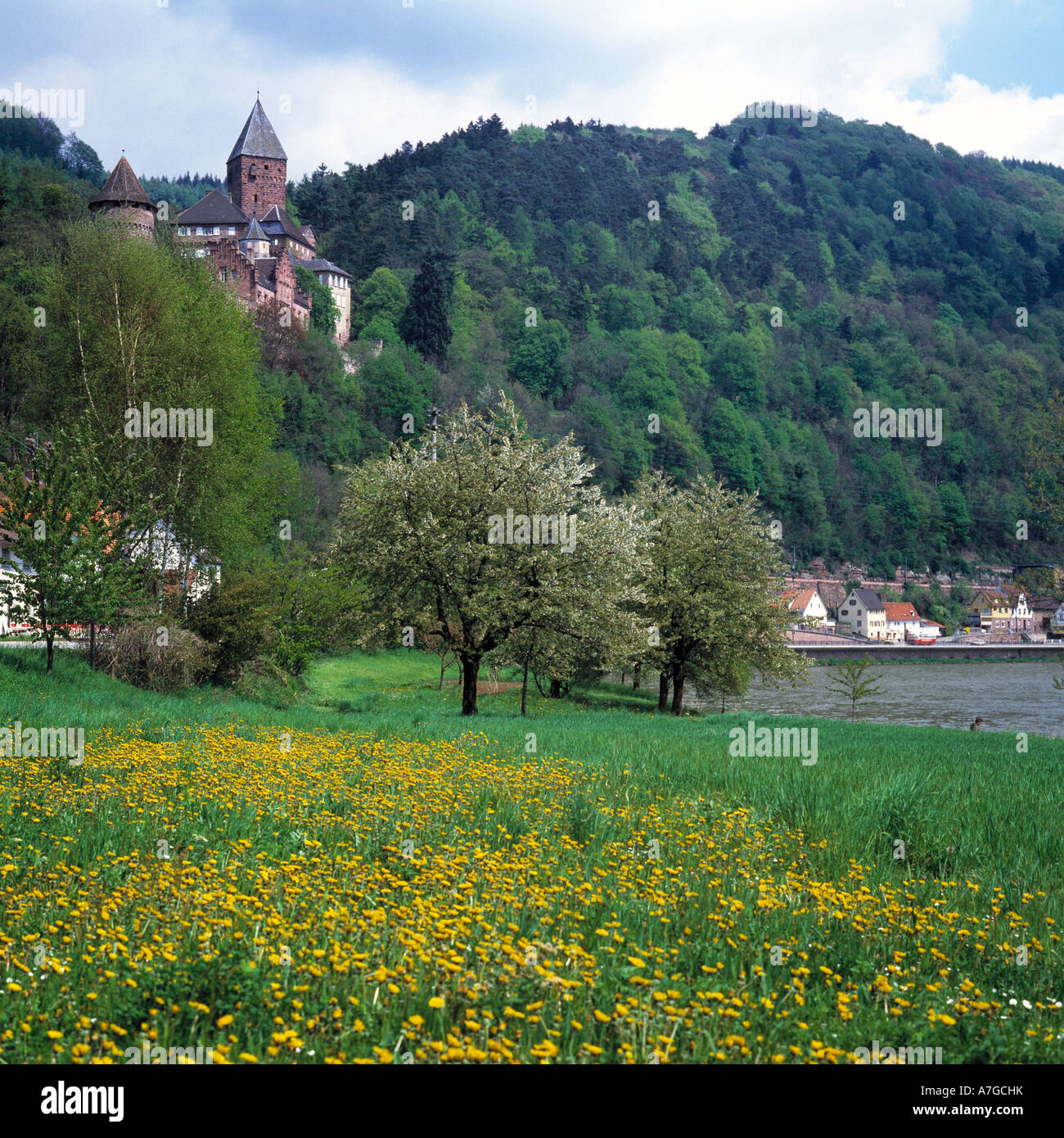 In Zwingenburg Zwingenberg am Neckar, Naturpark Neckartal-Odenwald, Baden-Wuerttemberg Foto Stock