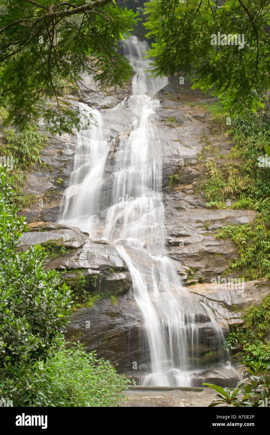 Una cascata nel Parco Nazionale della Tijuca di Rio de Janeiro con una lenta velocità di otturazione per sfocare l'acqua. Foto Stock