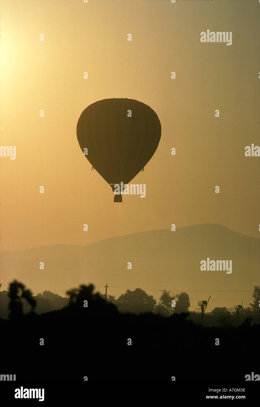 Mongolfiera sollevamento in Napa Valley a sunrise. Foto Stock