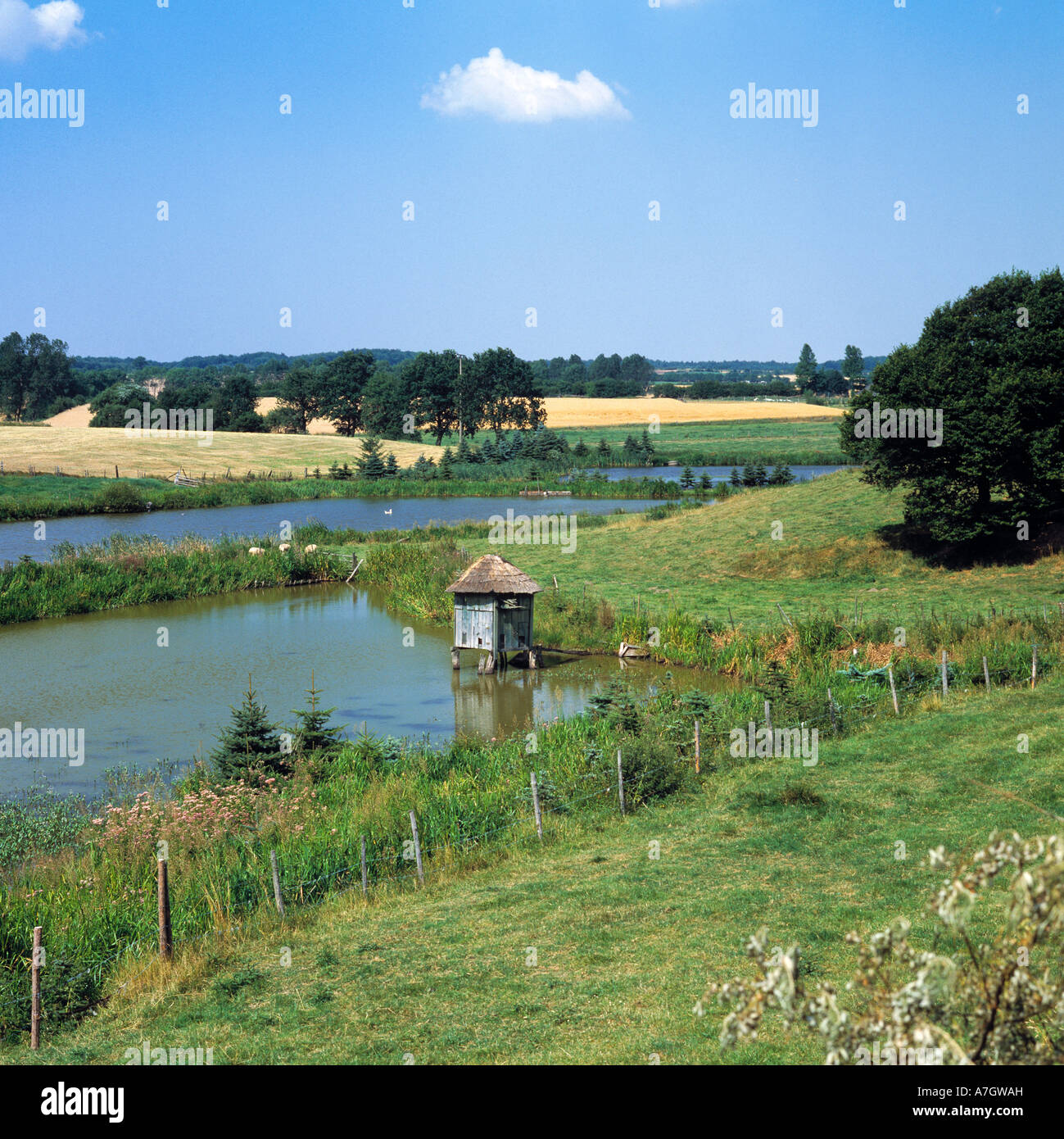Idyllische Teichlandschaft und Agrarland bei Muehlenrade, Stormarnsche Schweiz, Schleswig-Holstein Foto Stock