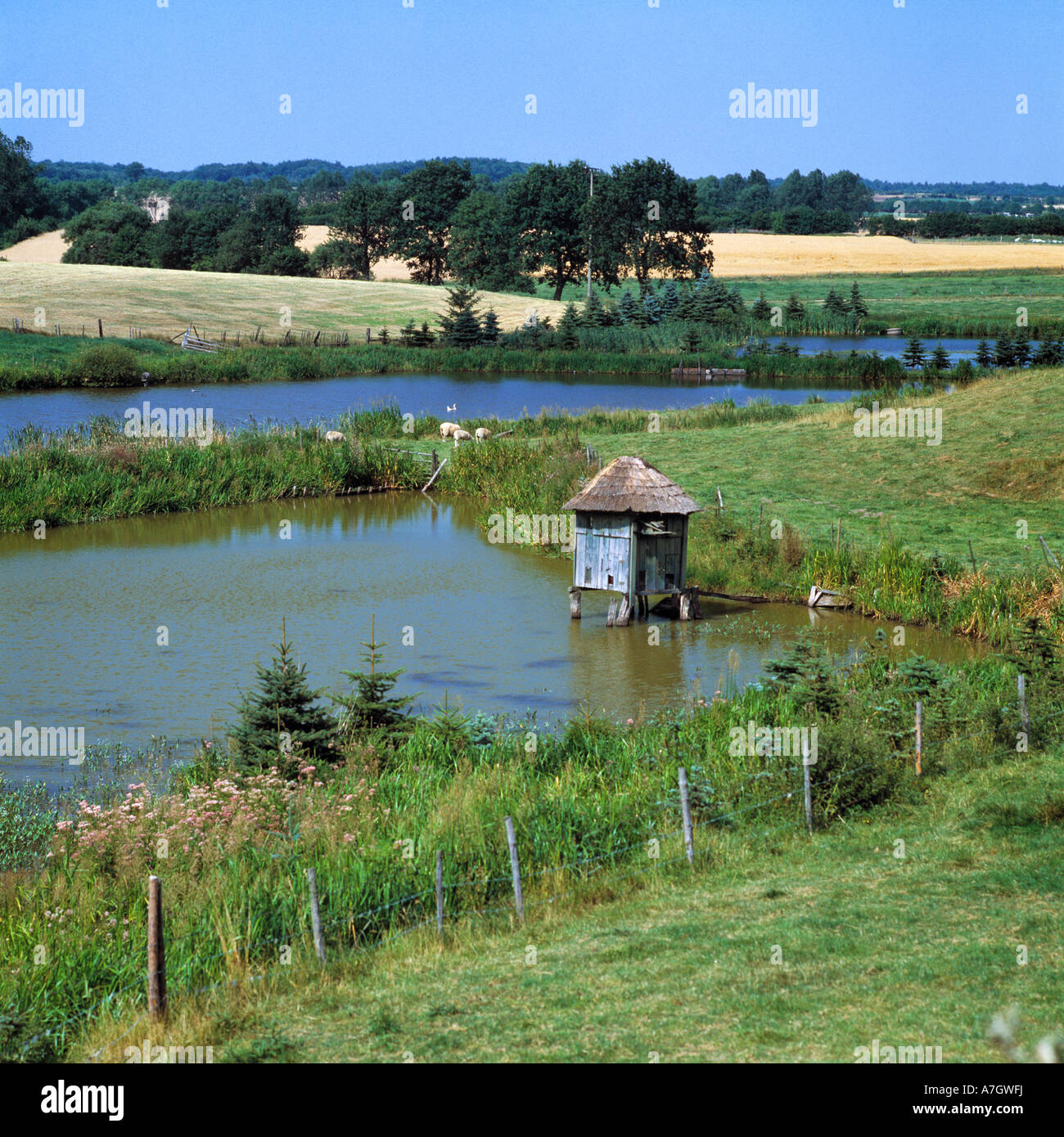 Idyllische Teichlandschaft und Agrarland bei Muehlenrade, Stormarnsche Schweiz, Schleswig-Holstein Foto Stock