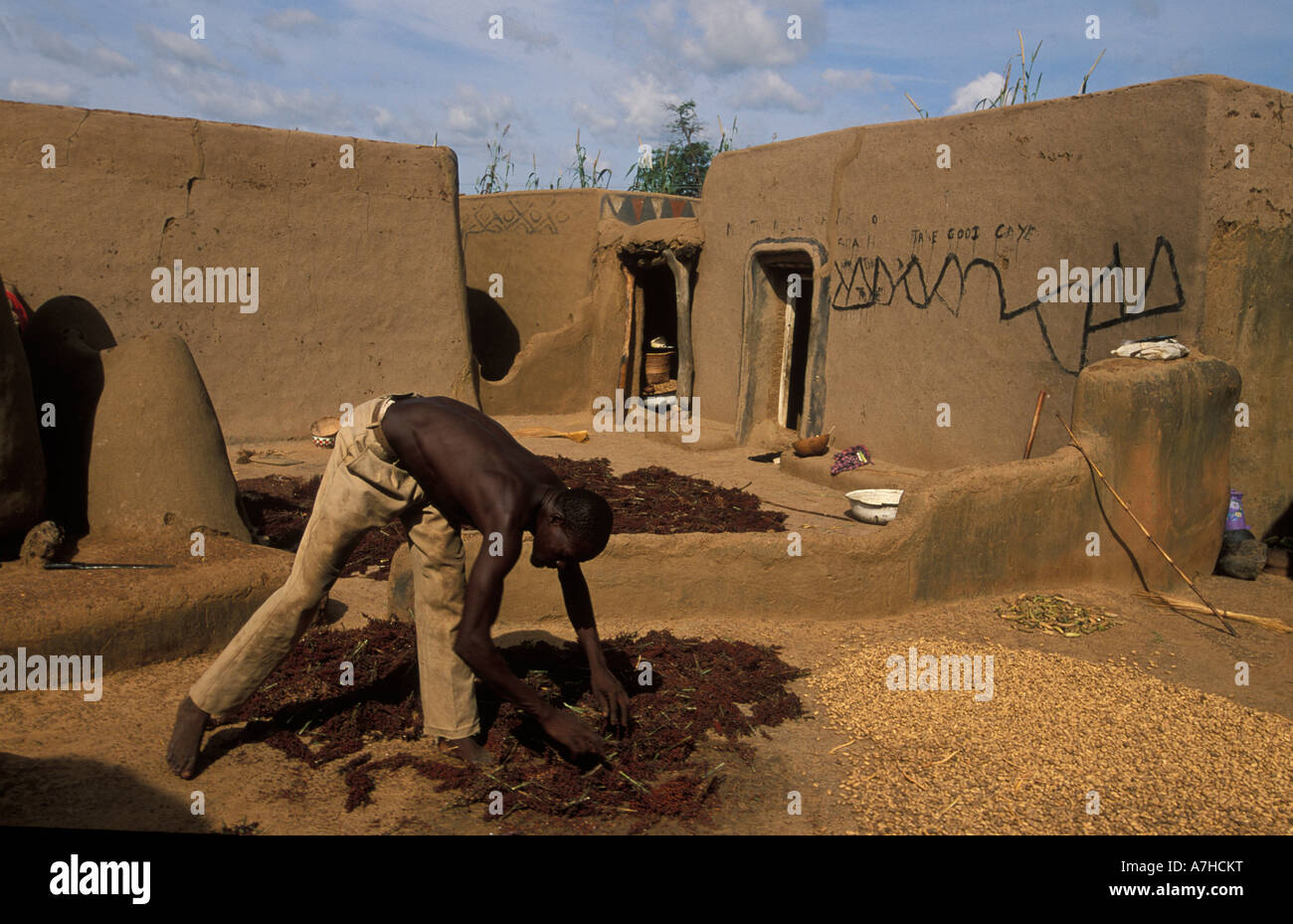 Composto di fango con la Guinea mais e arachidi essiccazione, Sirigu village, Upper East regione, Ghana Foto Stock