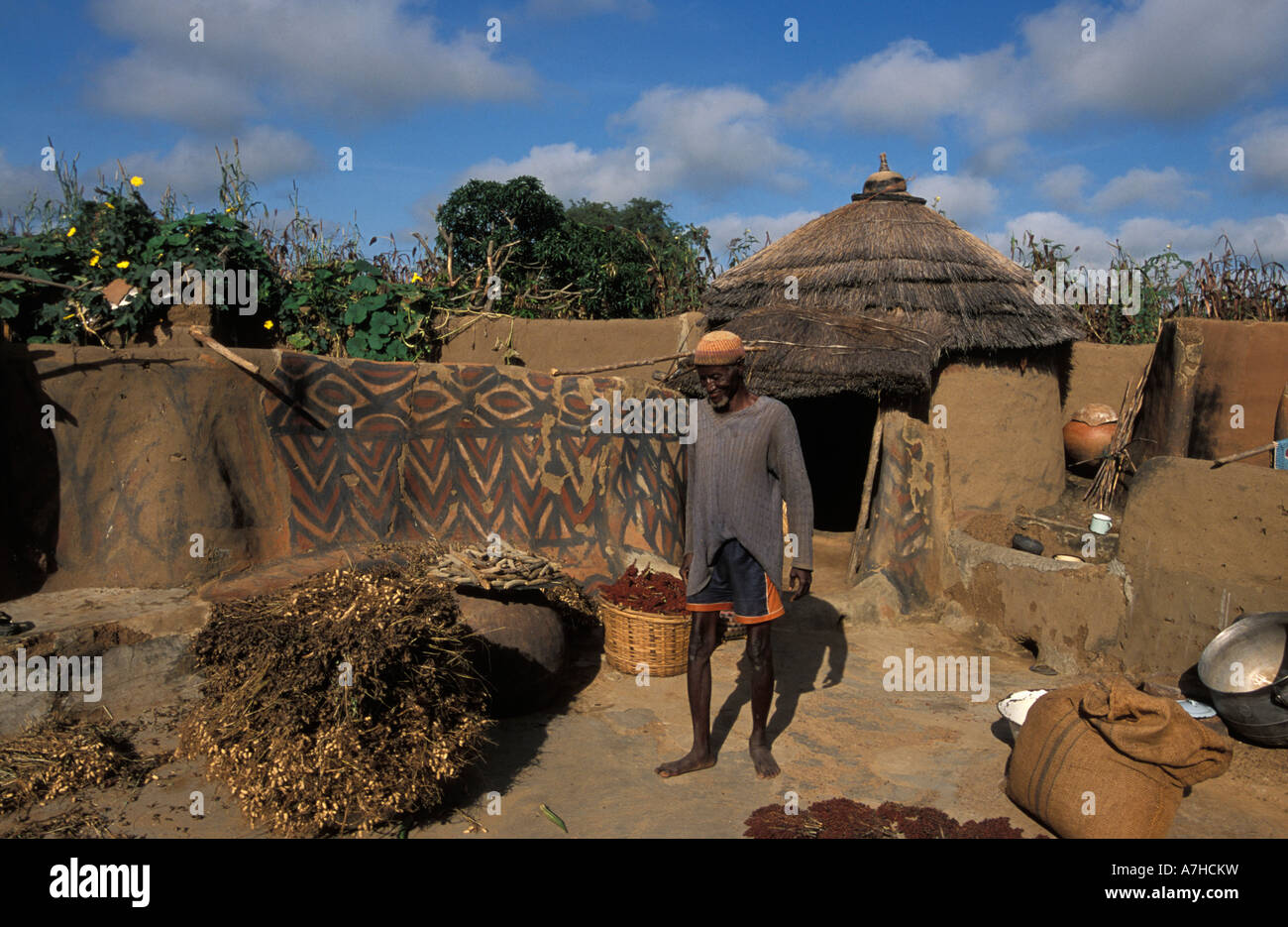 Tradizionalmente verniciati composto di fango, Guinea essiccazione mais, Sirigu village, Upper East regione, Ghana Foto Stock