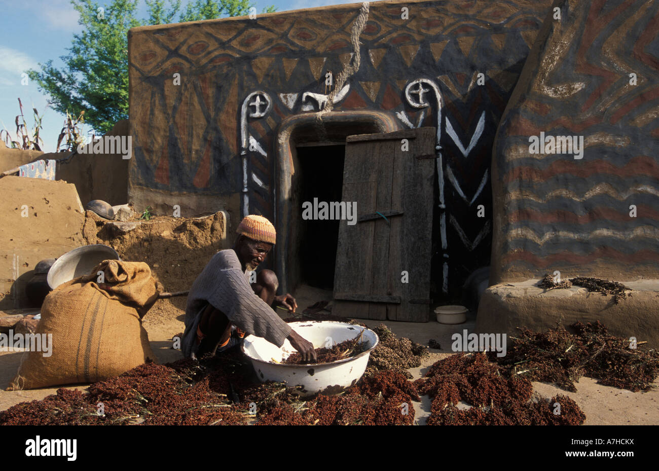 Tradizionalmente verniciati composto di fango, Guinea essiccazione mais, Sirigu village, Upper East regione, Ghana Foto Stock