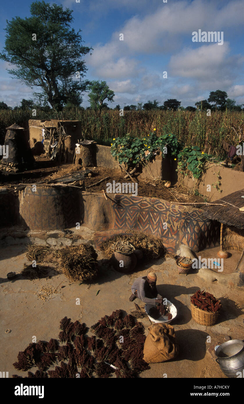 Tradizionalmente verniciati composto di fango, Guinea essiccazione mais, Sirigu village, Upper East regione, Ghana Foto Stock