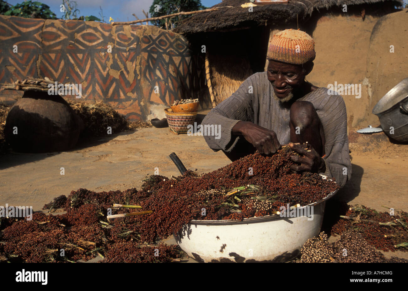Tradizionalmente verniciati composto di fango, Guinea essiccazione mais, Sirigu village, Upper East regione, Ghana Foto Stock